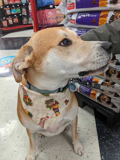 Pet Supply Store «Petco Animal Supplies», reviews and photos, 403 N 8th St, West Dundee, IL 60118, USA