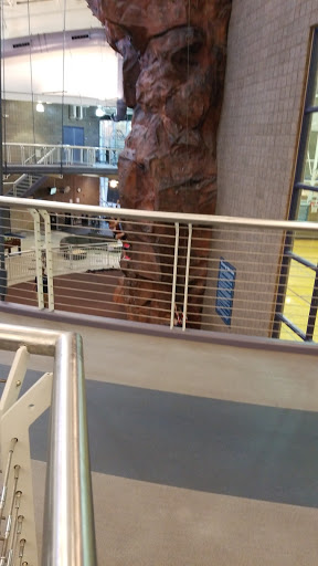 Recreation Center «Freestone Recreation Center», reviews and photos, 1141 E Guadalupe Rd, Gilbert, AZ 85234, USA