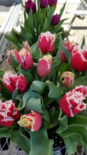 Home Improvement Store «The Home Depot», reviews and photos, 1900 Shorrock Rd, Lakewood, NJ 08701, USA