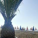 Photo n°1 de l'avis de Mercedesz.a fait le 06/06/2022 à 18:11 sur le  Playabeach Restaurant à Lignano Sabbiadoro