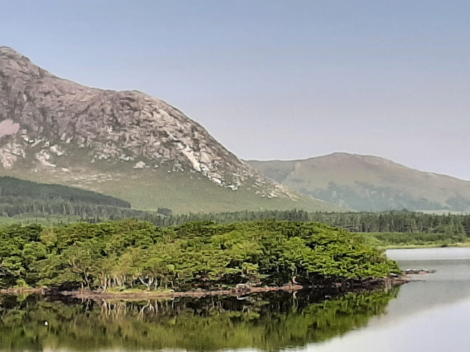 Photo n° 12 de l'avis de Michael.a fait le 03/08/2022 à 14:27