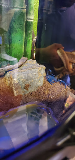 Pet Store «Fish & More Pet Store», reviews and photos, 310 E Main St #8, Sylva, NC 28779, USA