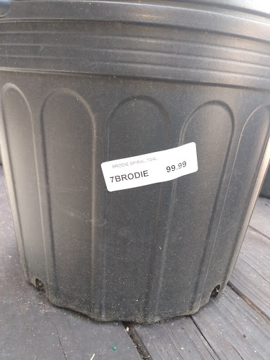 Hardware Store «Ace Home & Garden Ctr», reviews and photos, 3911 E 15th St, Panama City, FL 32404, USA