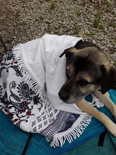 Stadium «GCS Ballpark», reviews and photos, 2301 Grizzlie Bear Blvd, Sauget, IL 62206, USA