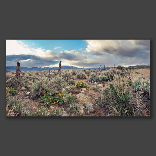 Emanate Gallery Art & Framing image