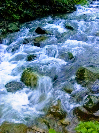 National Park «Shenandoah National Park», reviews and photos