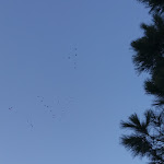 Photo n°2 de l'avis de Giovanni.u fait le 11/02/2020 à 22:42 sur le  Ristorante Noemi dal 1988 à Gallodoro