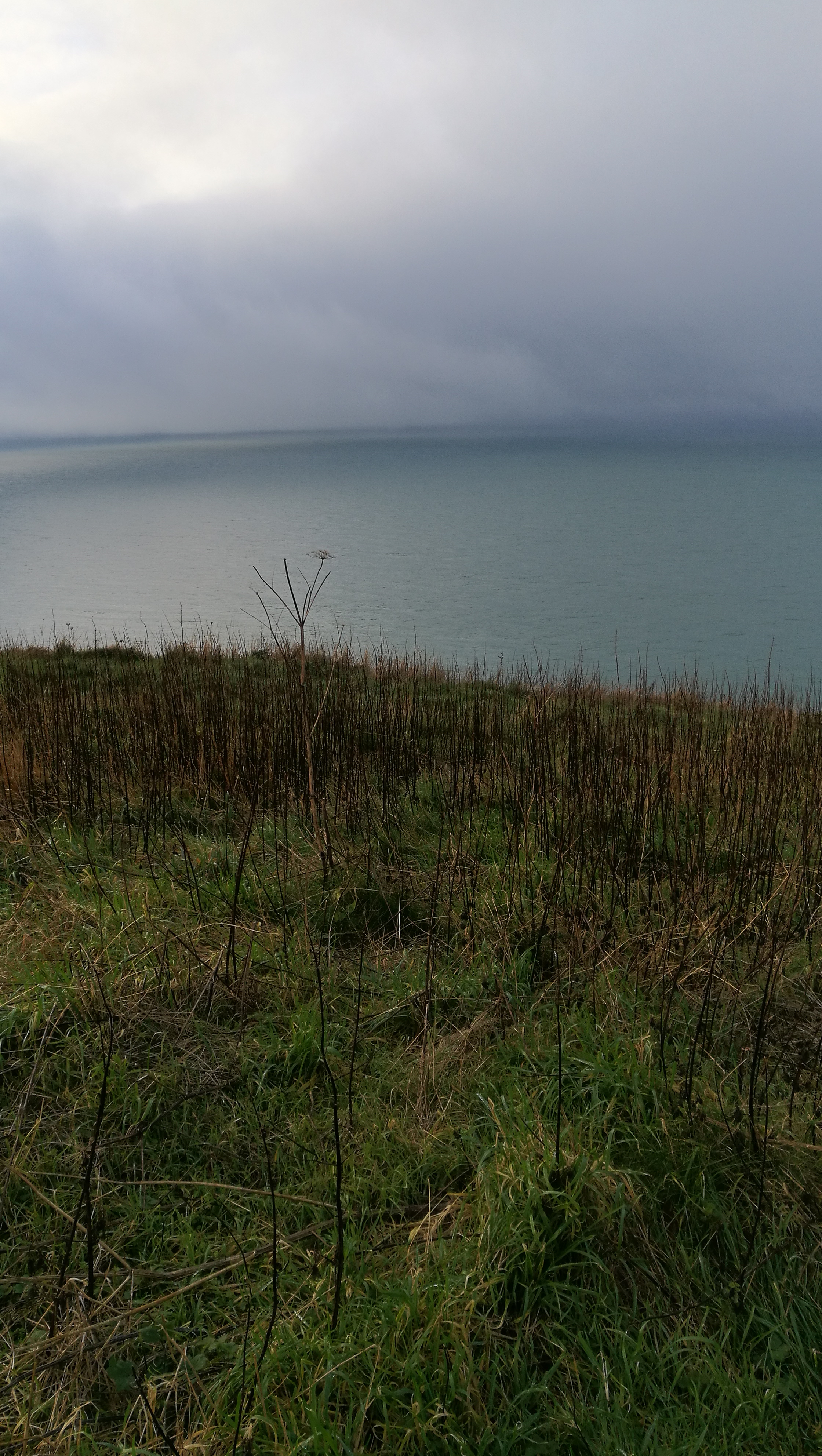 Photo n° 7 de l'avis de Amélie.G fait le 07/01/2019 à 11:03