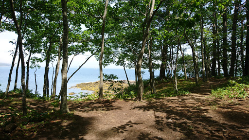 Nature Preserve «Littlejohn Island Preserve», reviews and photos, Pemasong Ln, Yarmouth, ME 04096, USA