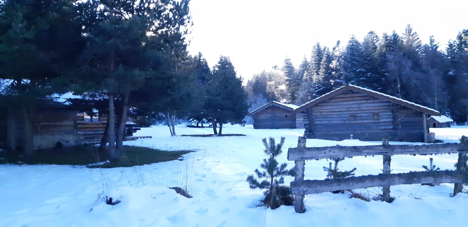 Photo n° 1 de l'avis de Bruno.V fait le 20/01/2022 à 15:17