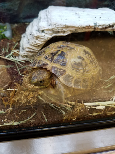 Pet Supply Store «Petco Animal Supplies», reviews and photos, 4175 Dowlen Rd, Beaumont, TX 77706, USA