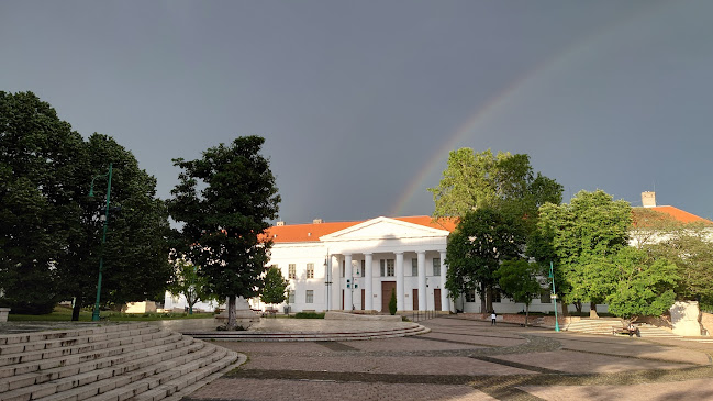 Bencés apátság romjai - Szekszárd