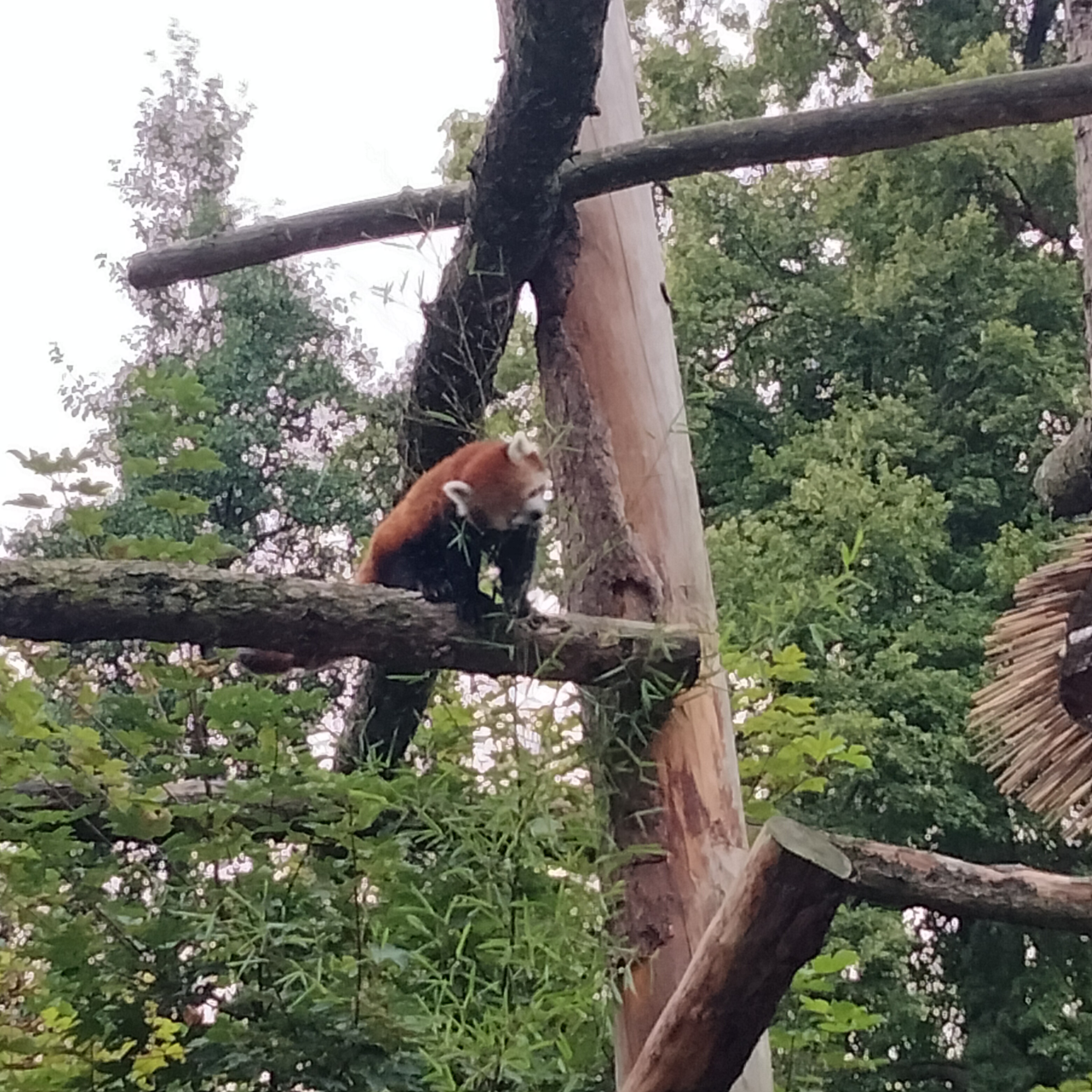 Photo n° 1 de l'avis de Patricia.i fait le 31/07/2023 à 13:25