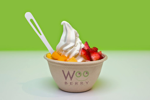 WooBerry Ice Cream & Frozen Yogurt