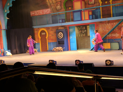 Performing Arts Theater «Pantopia Theater», reviews and photos, 3000 E Busch Blvd, Tampa, FL 33612, USA