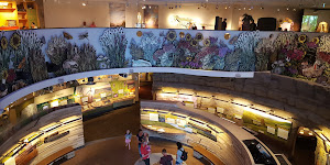 Flint Hills Discovery Center