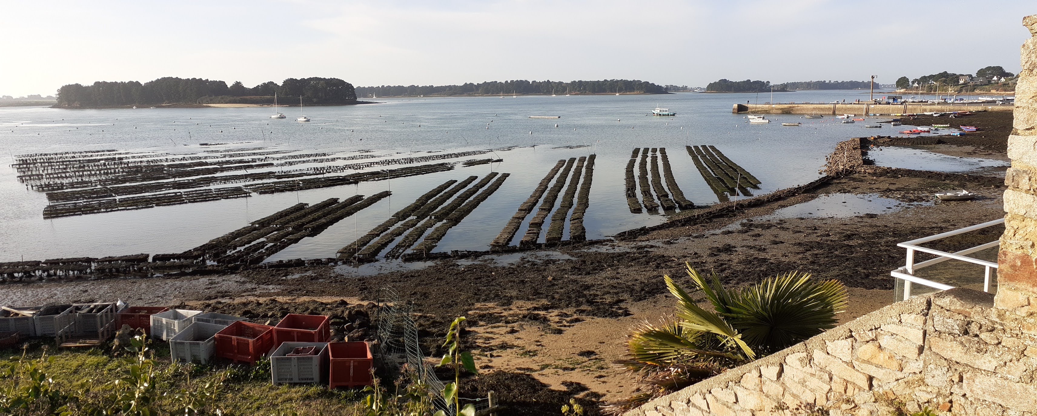 Photo n° 1 de l'avis de Breizh.b fait le 01/07/2020 à 12:10