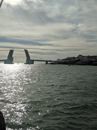 Tourist Attraction «The Pirate Ship Royal Conquest», reviews and photos, 140 Boardwalk Pl E, Madeira Beach, FL 33708, USA