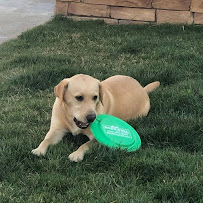 Rockwell Pest Solutions - Photo 3 - Car repair in Rancho Cucamonga, CA, Riverside