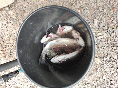 Le Paradis du Pêcheur à Gérardmer