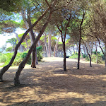 Photo n°2 de l'avis de DARIO.O fait le 13/08/2020 à 14:19 sur le  Sun Beach Bar à Piombino