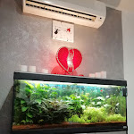 Photo n° 2 de l'avis de mike.a fait le 05/03/2020 à 10:58 pour Restaurant As De Coeur à Saint-Laurent-de-la-Salanque