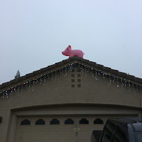 Specialized Disinfecting Specialists - Photo 8 - Car repair in , Roseville