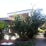 Photo n°6 de l'avis de Antonio.c fait le 03/10/2021 à 21:13 sur le  Villa Sirena Ricevimenti à Durazzano