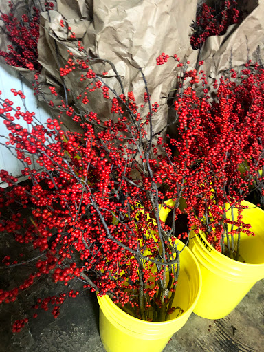 Florist «Sieck-Wright Floral Products», reviews and photos, 231 Monmouth St, Hightstown, NJ 08520, USA