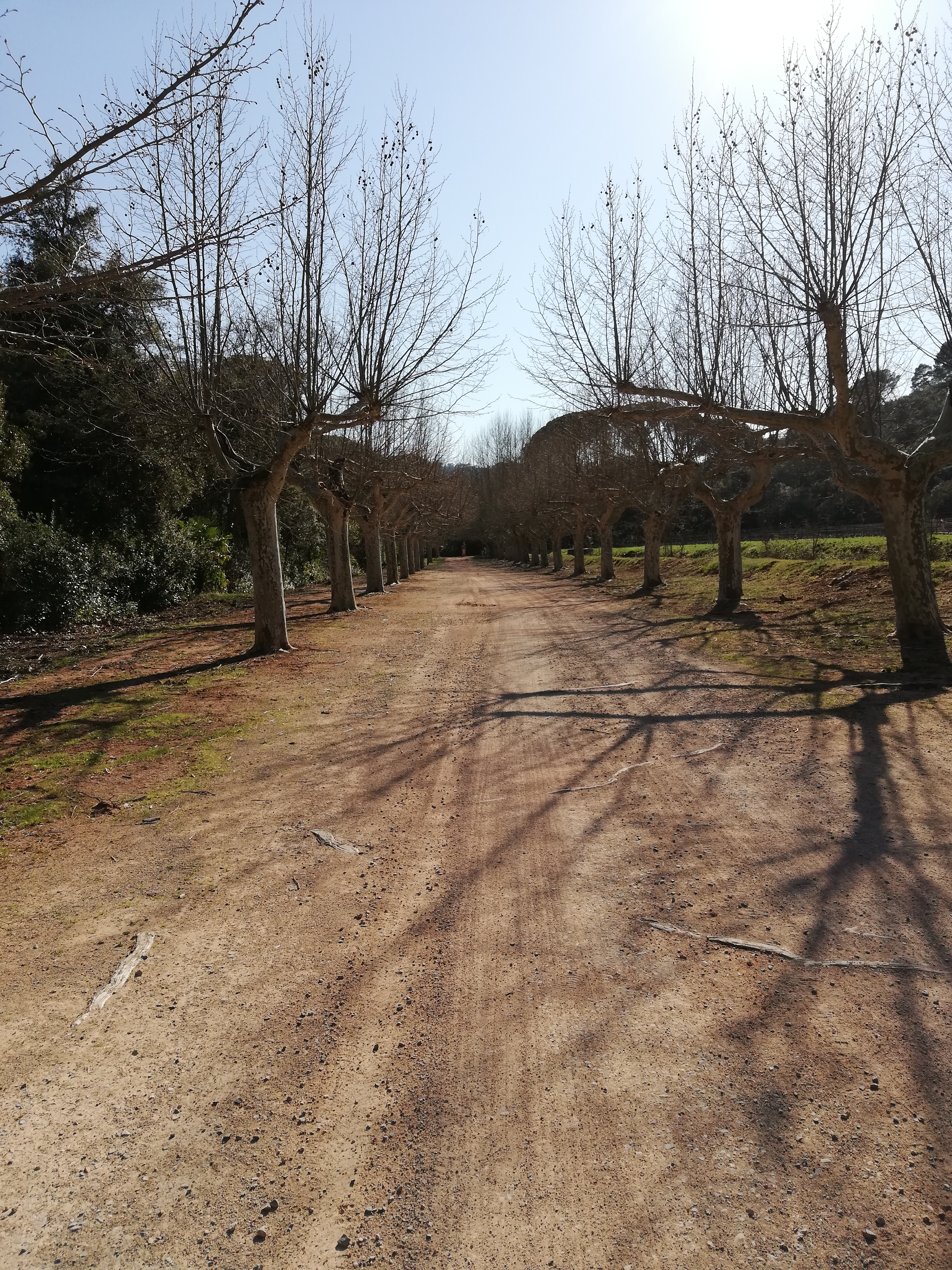 Photo n° 2 de l'avis de Julie.a fait le 23/03/2019 à 09:22