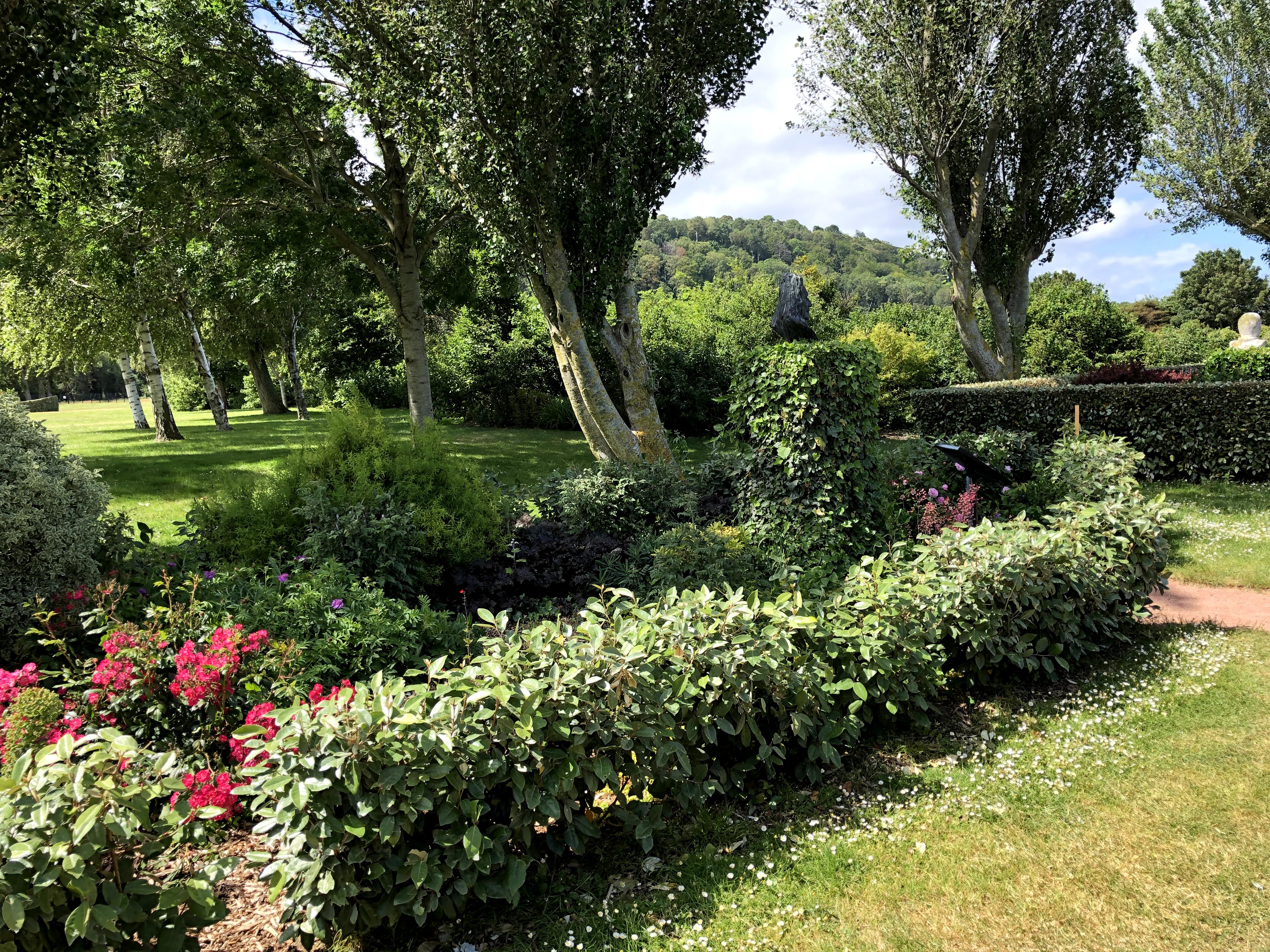 Photo n° 6 de l'avis de Anouar.a fait le 16/06/2020 à 06:59