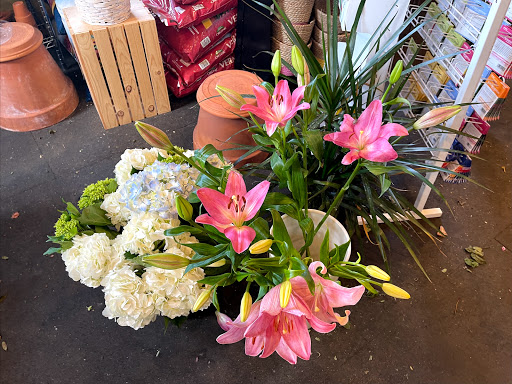 Florist «Petals & Paws», reviews and photos, 465 Albany Turnpike, Canton, CT 06019, USA