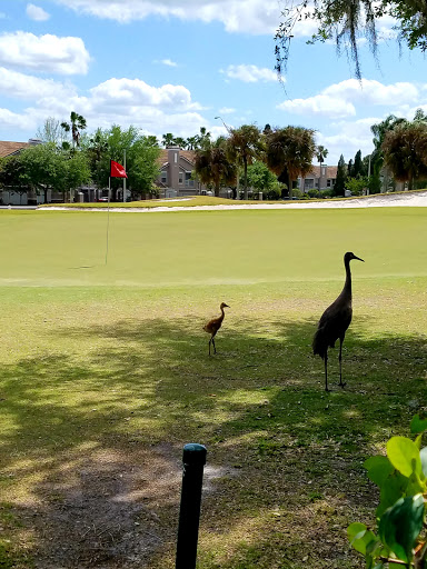 Golf Club «Heritage Isles Golf & Country Club», reviews and photos, 10630 Plantation Bay Dr, Tampa, FL 33647, USA