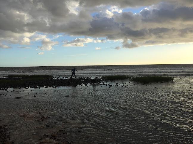 Playa Los Cardos - Maldonado