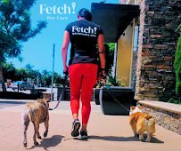Fetch! Pet Care Colorado Springs - Photo 2 - Car repair in , Colorado Springs