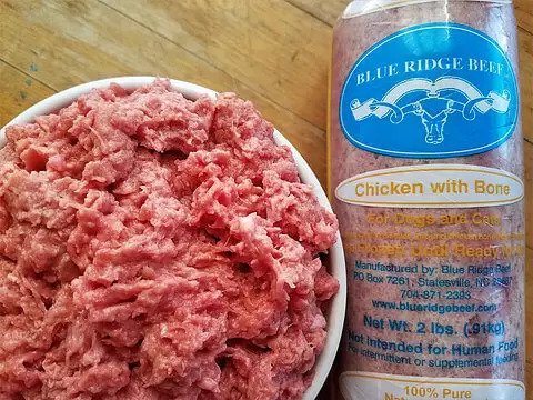 Pet Supply Store «Wholesome Animal Grocery Store (WAGS)», reviews and photos, 70 E Main St, Avon, CT 06001, USA