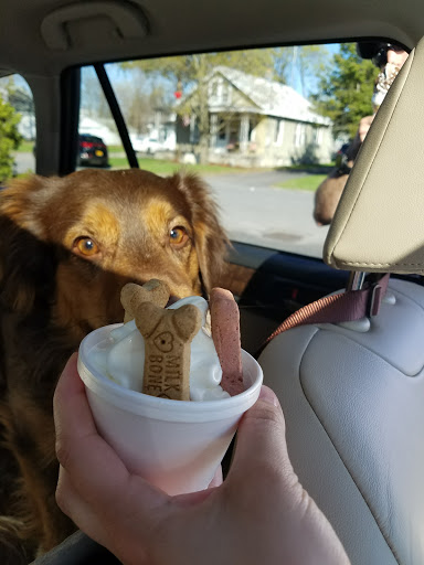 Ice Cream Shop «Curry Freeze», reviews and photos, 1057 Curry Rd, Schenectady, NY 12306, USA