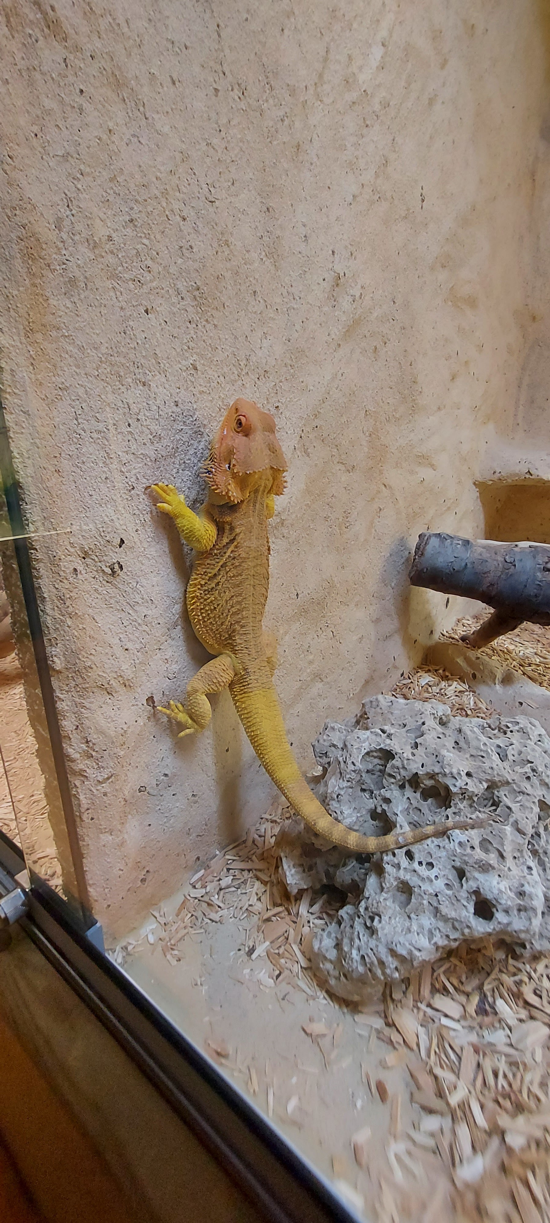 Photo n° 9 de l'avis de Sandrine.o fait le 11/07/2022 à 19:35