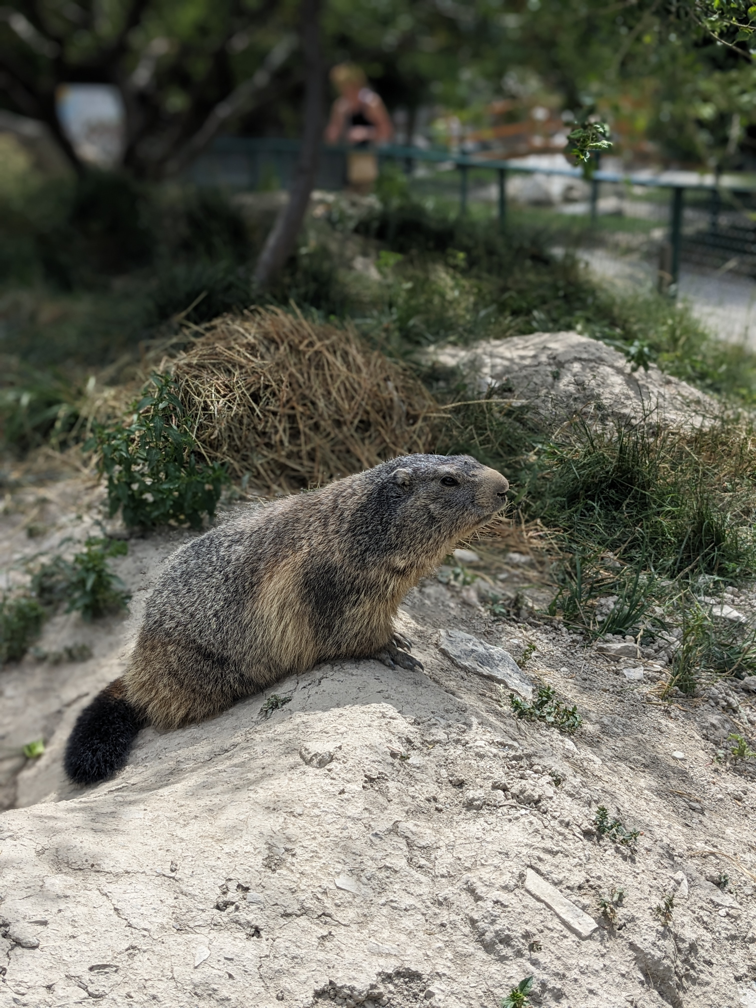 Photo n° 1 de l'avis de Marry.a fait le 28/07/2023 à 17:35