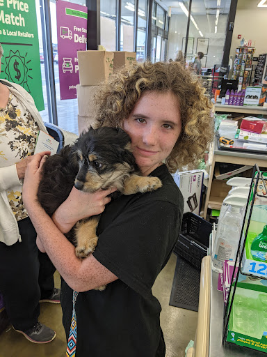 Pet Supply Store «Pet Supplies Plus», reviews and photos, 1155 Washington Pike, Bridgeville, PA 15017, USA