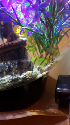 Pet Supply Store «Petland Discounts - Park Slope», reviews and photos, 510 5th Ave, Brooklyn, NY 11215, USA