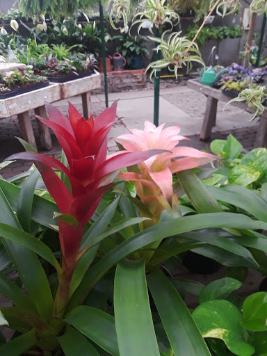 Florist «Skillins Greenhouses», reviews and photos, 89 Foreside Rd, Falmouth, ME 04105, USA