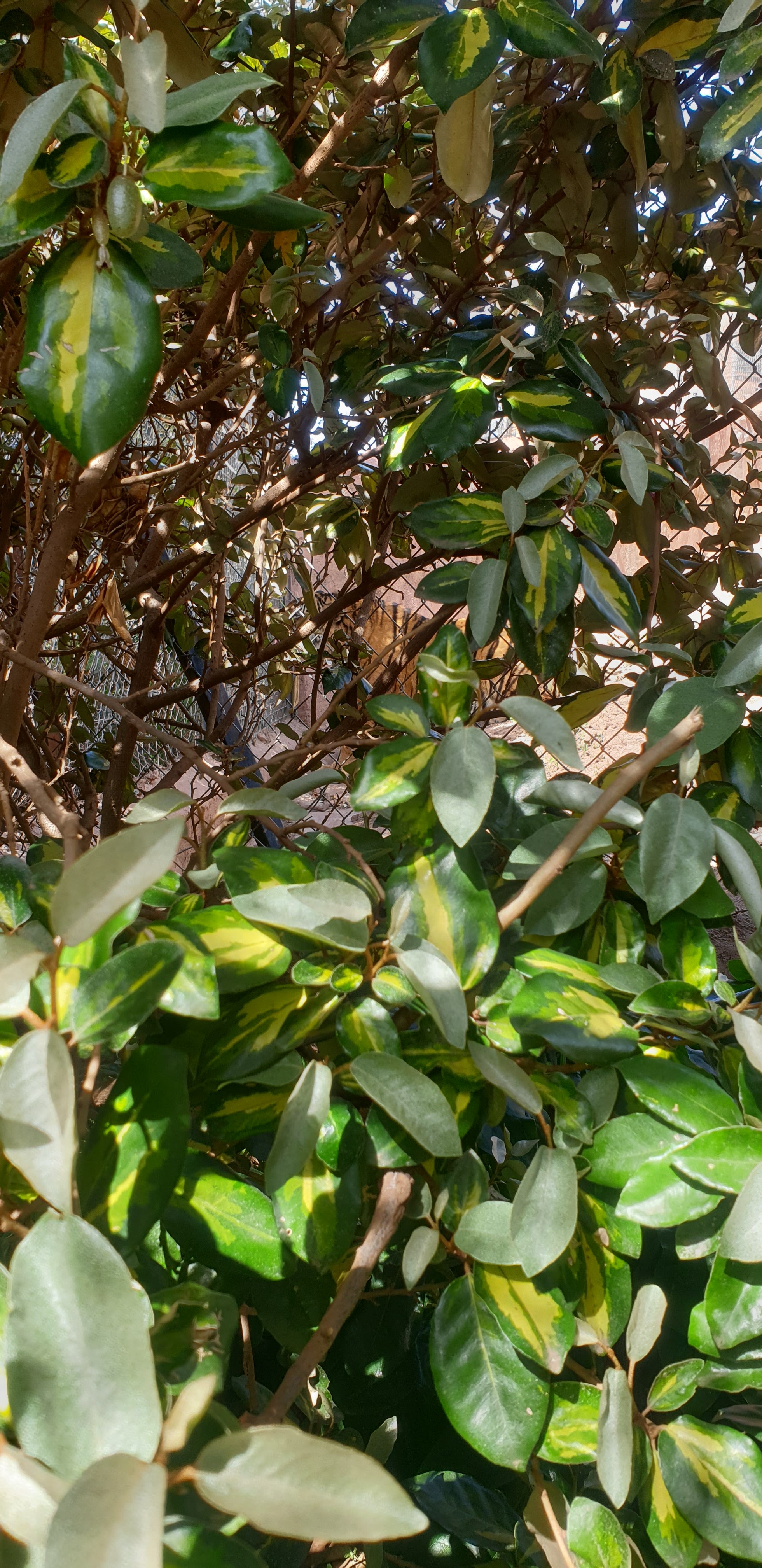 Photo n° 8 de l'avis de Serhii.u fait le 24/03/2024 à 16:17