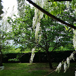Photo n°4 de l'avis de Rodolfo.d fait le 05/05/2019 à 13:48 sur le  Osteria dell'Oca Satolla à Laterina Pergine Valdarno
