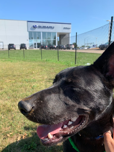 Subaru Dealer «Brilliance Subaru», reviews and photos, 1500 N Randall Rd, Elgin, IL 60123, USA