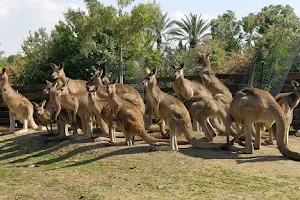 Gan Garoo Zoo image
