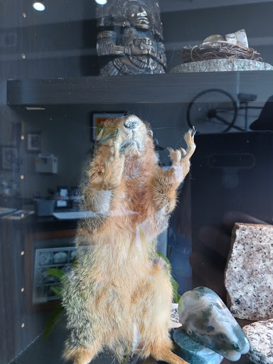 Explore weed tattoo ideas, creative tattoo ideas in Chicago, available at Archer Avenue Tattoo & Body Piercing