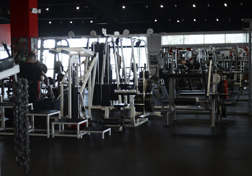 Gym «Powerhouse Gym Torrance», reviews and photos, 22715 Hawthorne Blvd, Torrance, CA 90505, USA