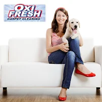 Oxi Fresh Carpet Cleaning - Car repair in , Charleston - Rated 4.8/5