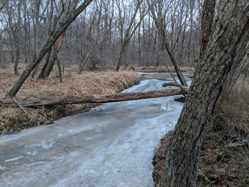 Park «Pilgrim Hill Local Park», reviews and photos, 1615 E Randolph Rd, Silver Spring, MD 20904, USA